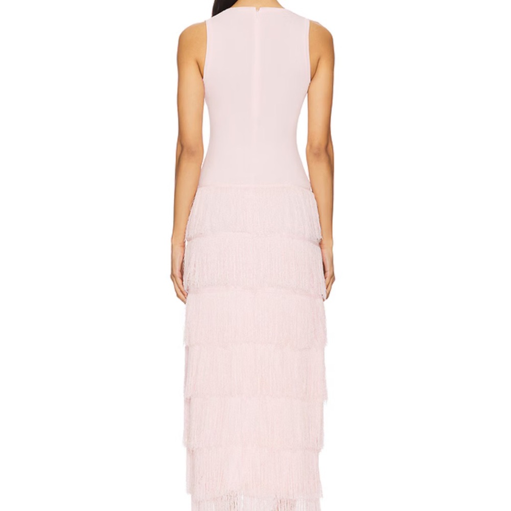 Aknvas Pink Fringe Dress - Picture 2 of 3